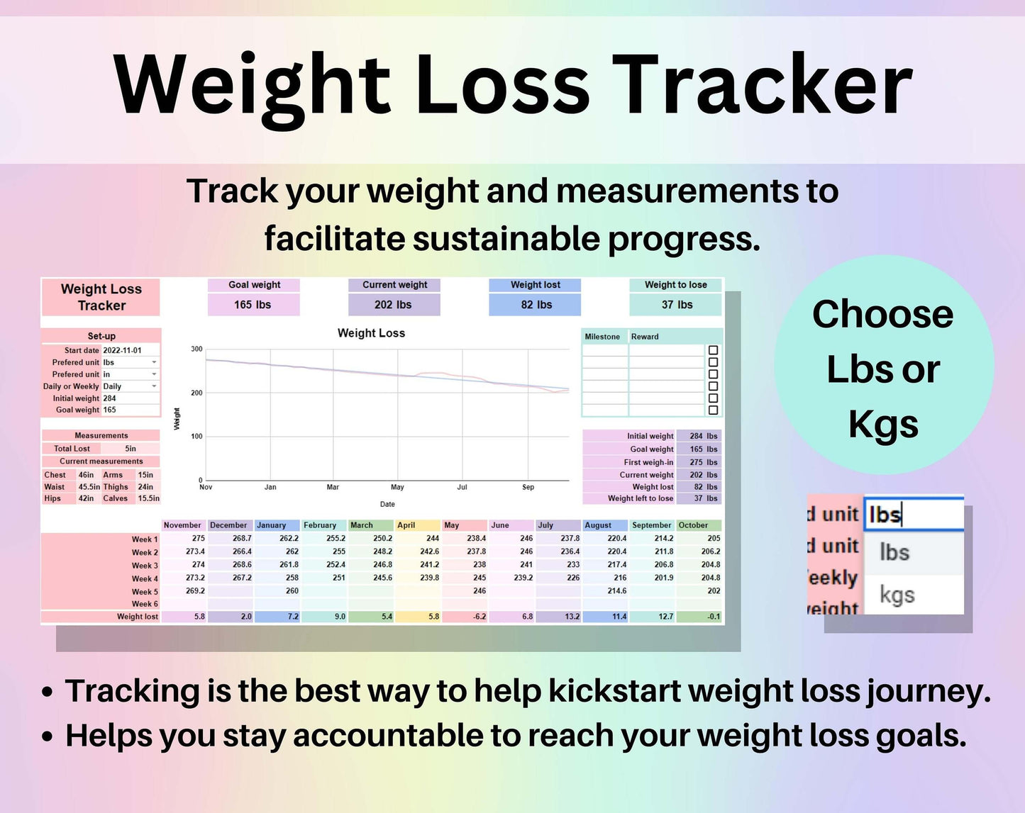 Weight Loss Tracker Spreadsheet Google Sheets Excel Weight Tracker Daily Weekly Diet Weigh-in Chart Weight Loss Journal Health and Wellness